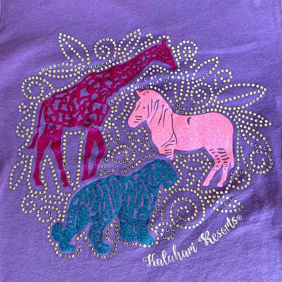 Kalahari Resorts, Purple, Short Sleeve, Shirt, Size Medium - Picture 3 of 4